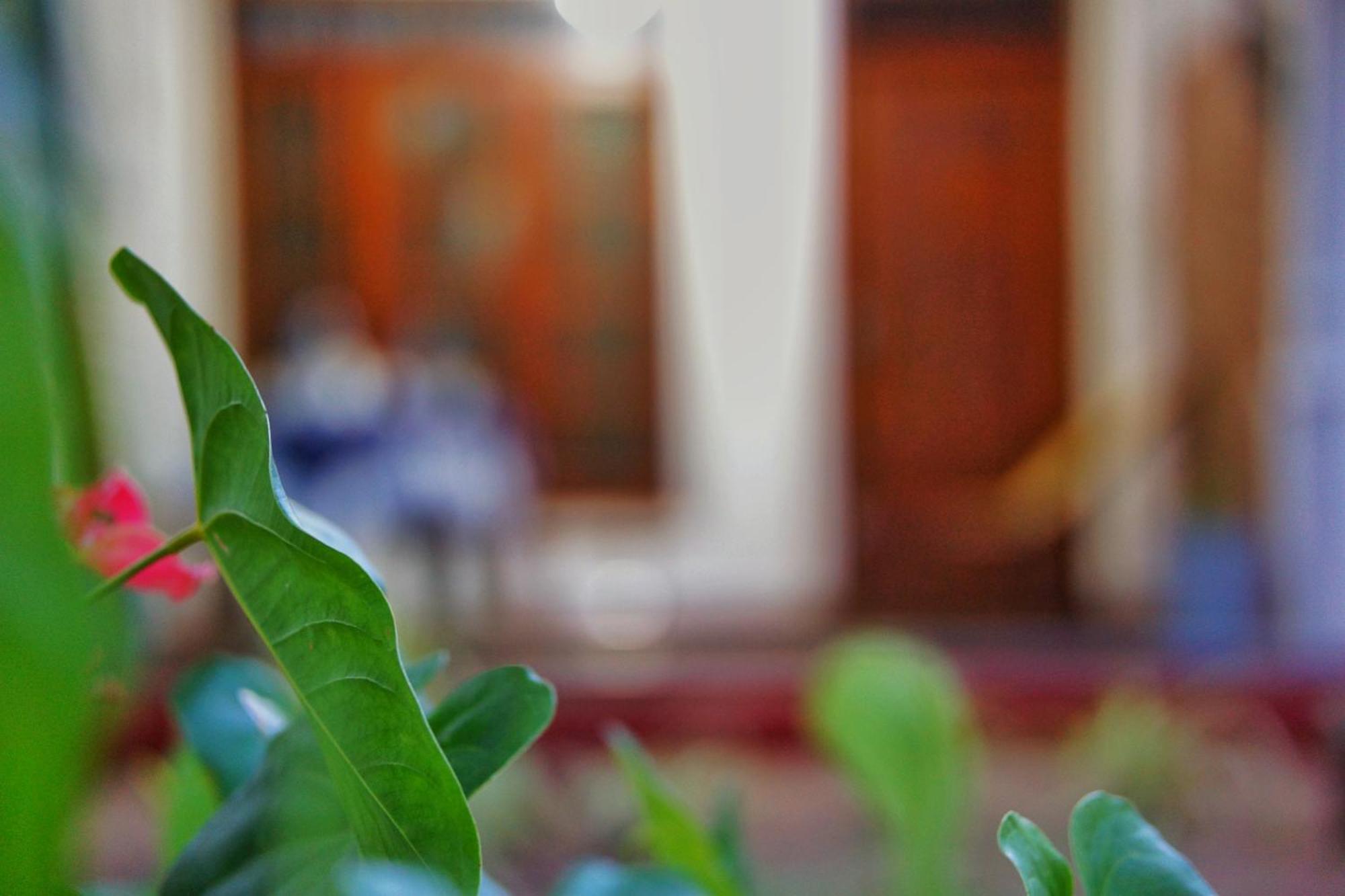 Lily'S Garden Resort Sigiriya Exterior foto